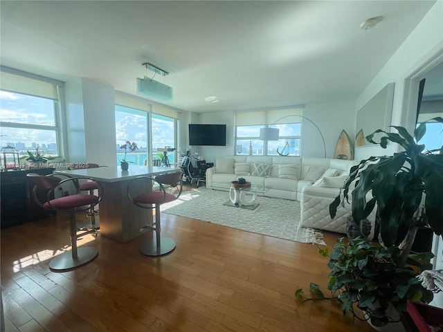 living room featuring hardwood / wood-style floors