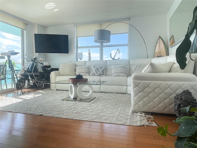 living room featuring hardwood / wood-style flooring