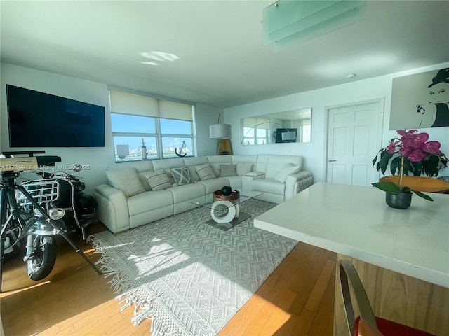 living room with hardwood / wood-style flooring