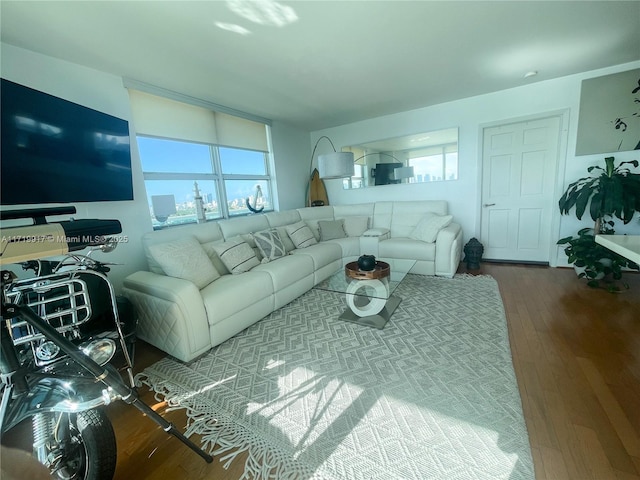 living room with wood-type flooring