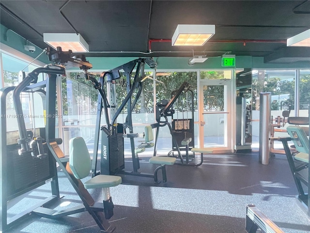 workout area featuring a healthy amount of sunlight