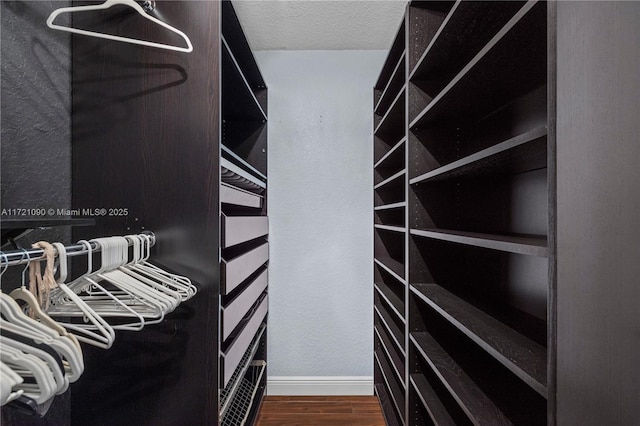 spacious closet with dark hardwood / wood-style floors