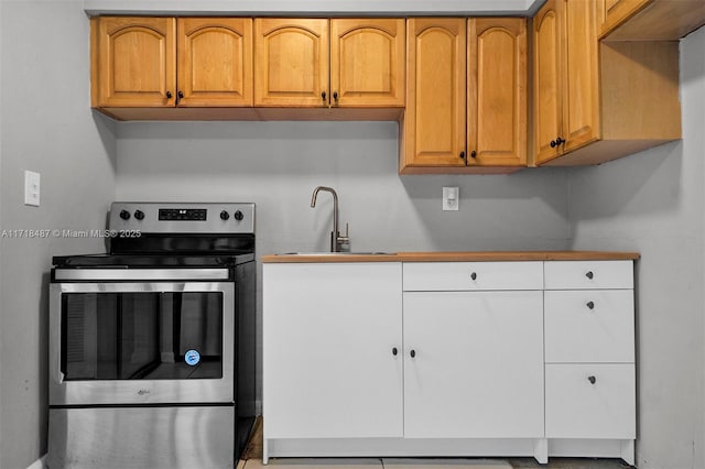 kitchen with stainless steel electric stove and sink