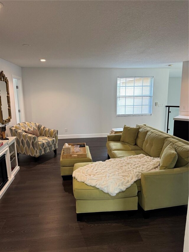 living room with dark hardwood / wood-style flooring