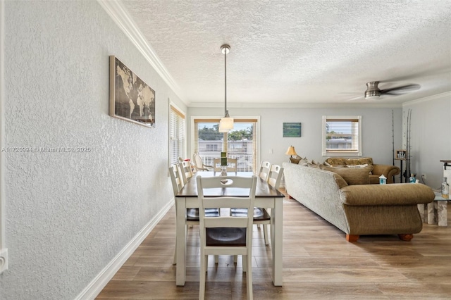 dining area featuring crown molding, ceiling fan, wood-type flooring, and a textured ceiling