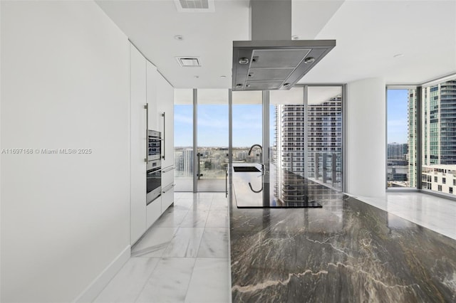 kitchen with white cabinetry, sink, expansive windows, and extractor fan