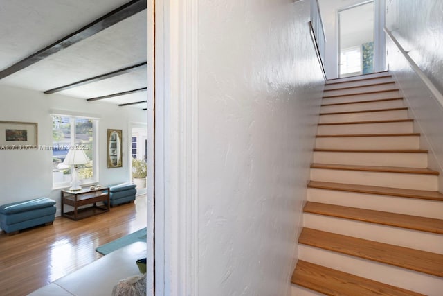 stairway with beamed ceiling and wood-type flooring