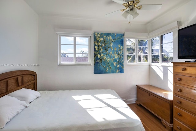 bedroom featuring multiple windows, wood-type flooring, and ceiling fan