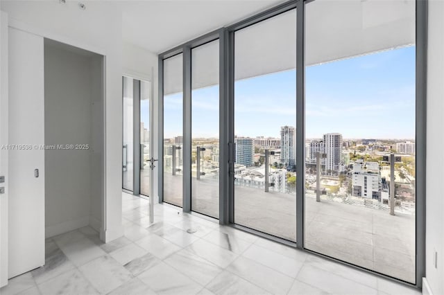 unfurnished room with a wealth of natural light and a wall of windows