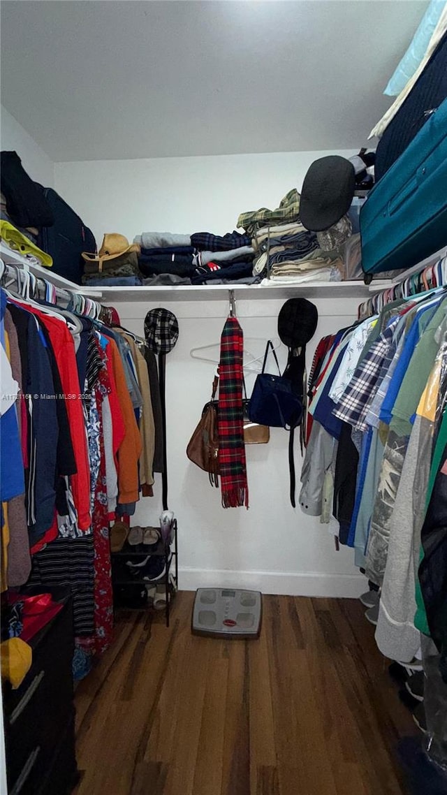 spacious closet featuring hardwood / wood-style floors