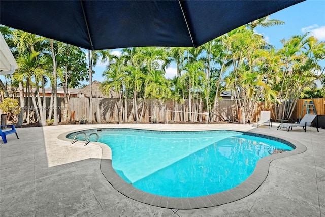 view of pool with a patio area