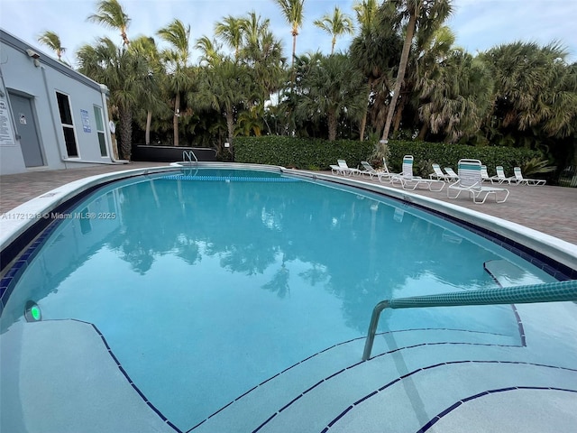 view of pool featuring a patio