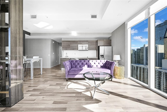 living room with light hardwood / wood-style flooring, a tray ceiling, and sink