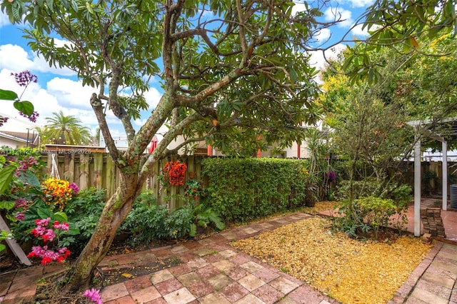 view of yard featuring central AC and a patio area