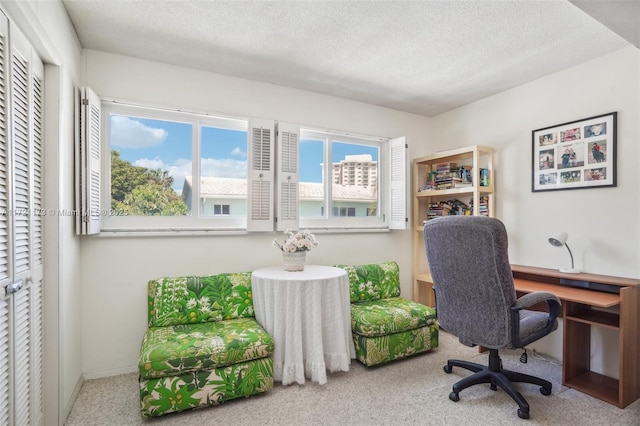 office space with carpet flooring and a textured ceiling