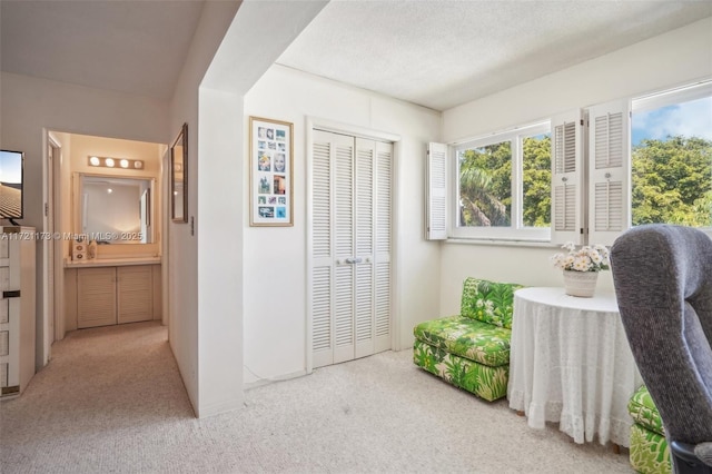 interior space with light carpet and a textured ceiling