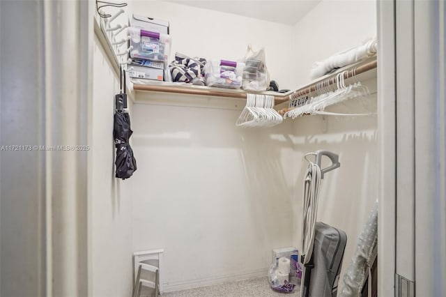 spacious closet with carpet