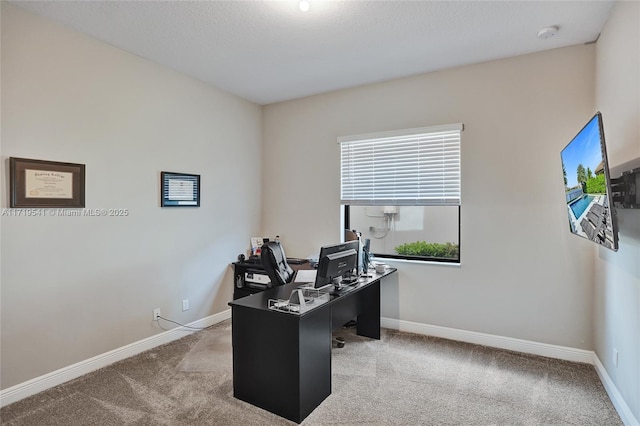 office area featuring light colored carpet