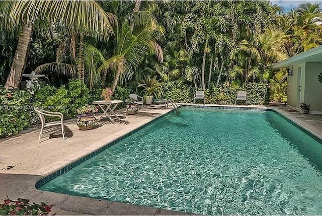 view of pool featuring a patio