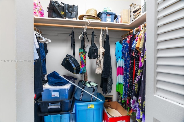 view of spacious closet