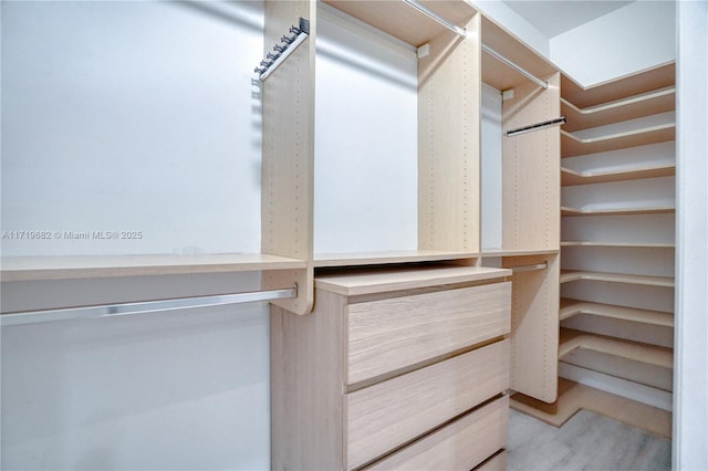 view of spacious closet