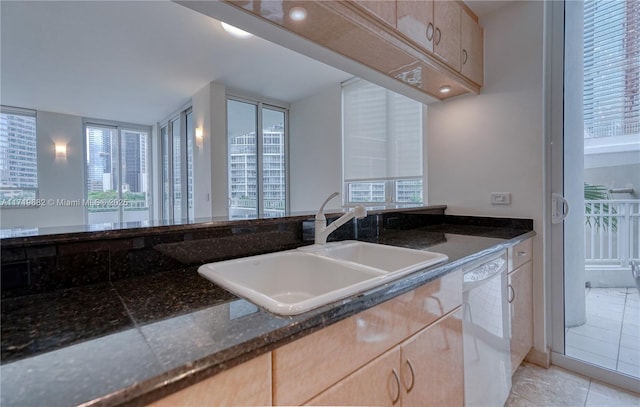 kitchen with dishwasher, dark stone counters, a sink, and a healthy amount of sunlight