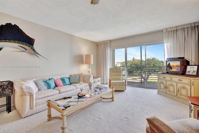 carpeted living room with a textured ceiling