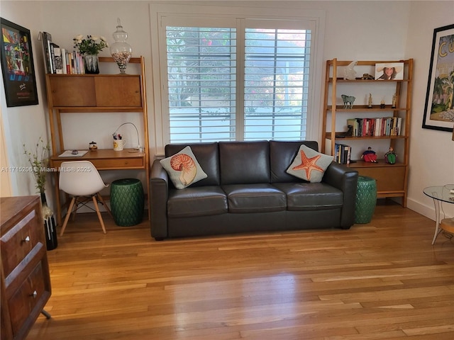 living room featuring light hardwood / wood-style flooring