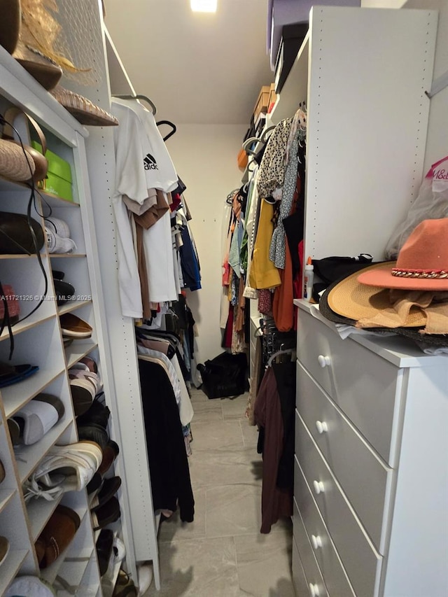 view of spacious closet