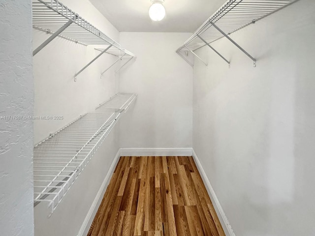 spacious closet with hardwood / wood-style floors