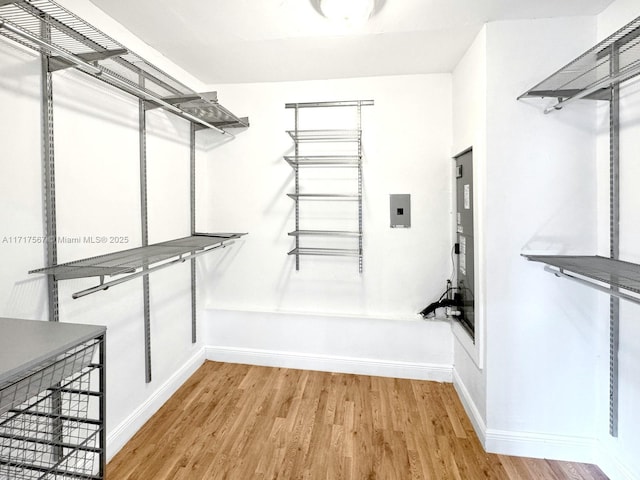 spacious closet featuring light wood-type flooring