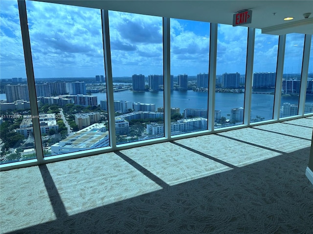 carpeted spare room featuring a water view and a wall of windows