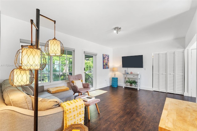 living room featuring dark wood-type flooring