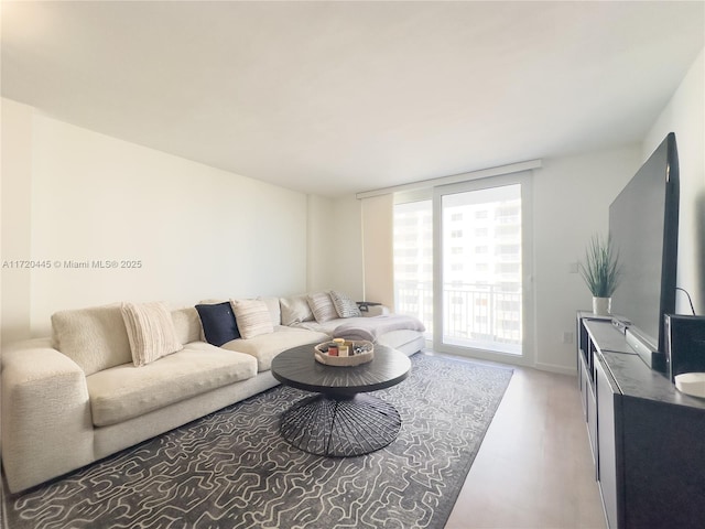 living room with hardwood / wood-style flooring