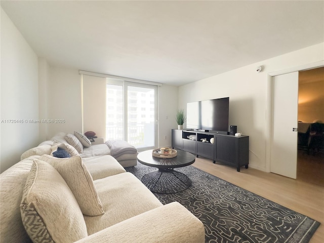 living room with hardwood / wood-style flooring