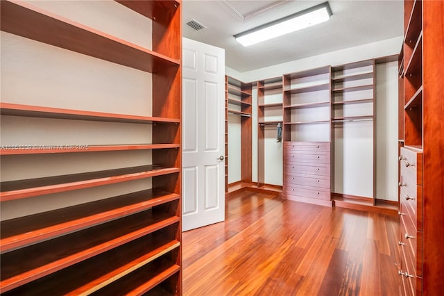 walk in closet with visible vents and light wood finished floors