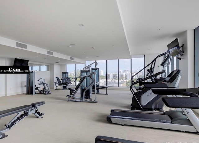 gym with carpet flooring and expansive windows