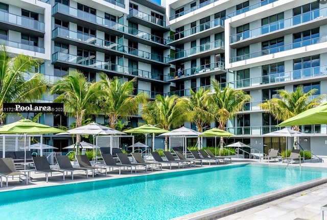 2960 NE 207th St Unit 804, Aventura, FL 33180 - photo 15