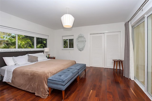 bedroom featuring dark hardwood / wood-style flooring and a closet