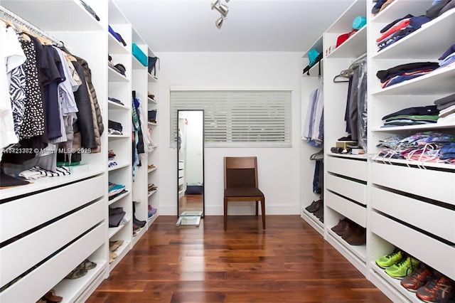 spacious closet with dark hardwood / wood-style floors