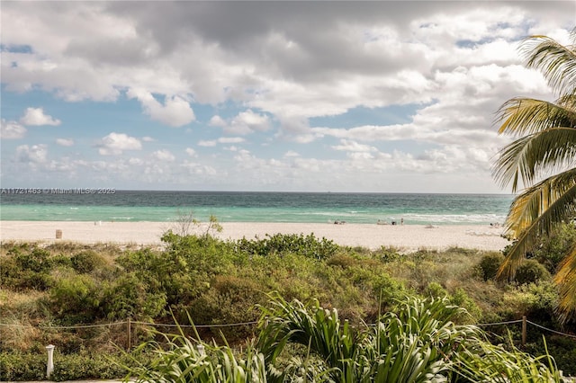 property view of water featuring a beach view