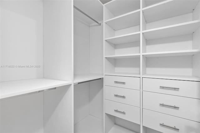 view of spacious closet