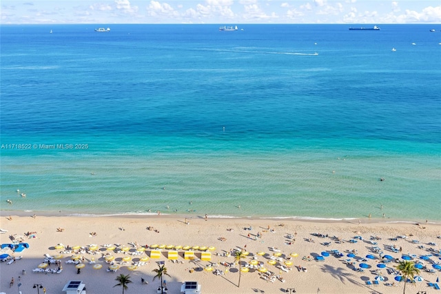 water view featuring a beach view