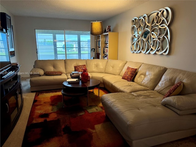 living room with a textured ceiling