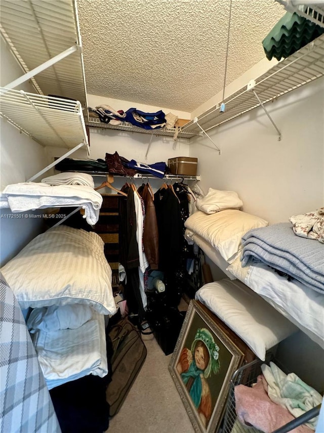 3019 Exeter B 3019, Boca Raton, FL 33434 - walk in closet featuring carpet flooring