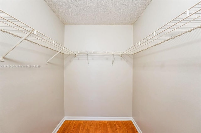 spacious closet with hardwood / wood-style floors