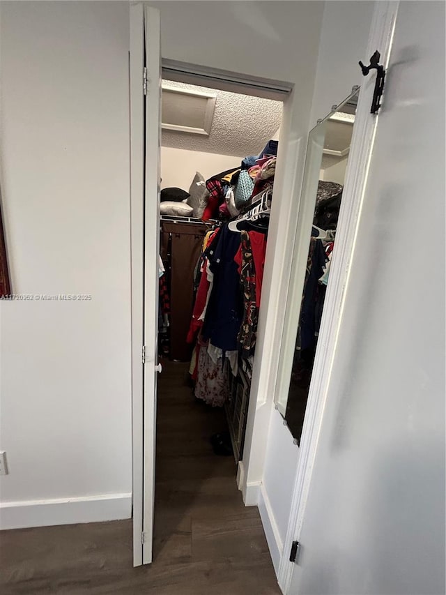 walk in closet featuring dark hardwood / wood-style floors