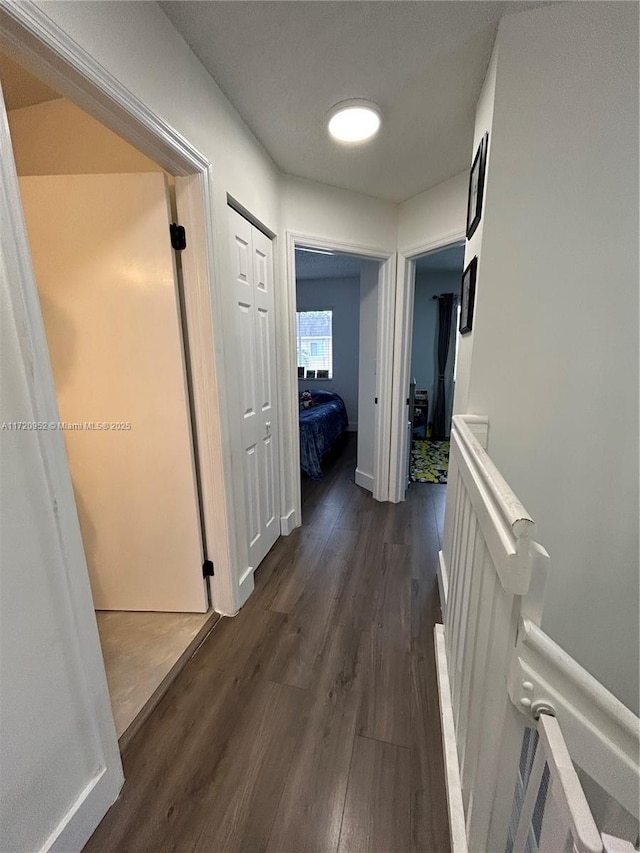 hallway with dark wood-type flooring