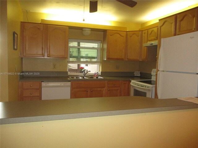 kitchen featuring a breakfast bar, white appliances, ceiling fan with notable chandelier, dark wood-type flooring, and sink