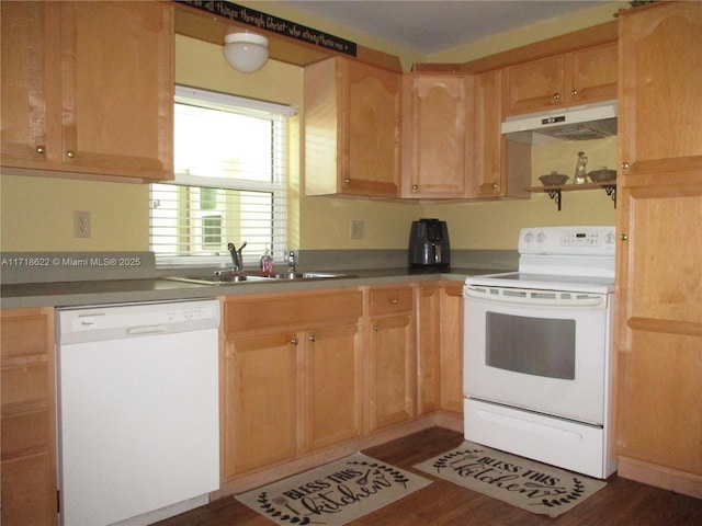 kitchen featuring dark hardwood / wood-style flooring, white appliances, and sink